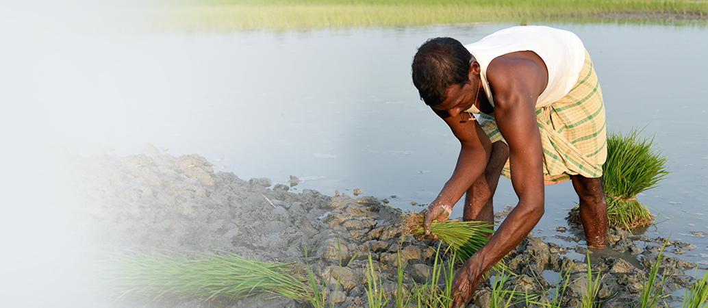 Agriculture Finance Horticulture & Forestry Development Banner